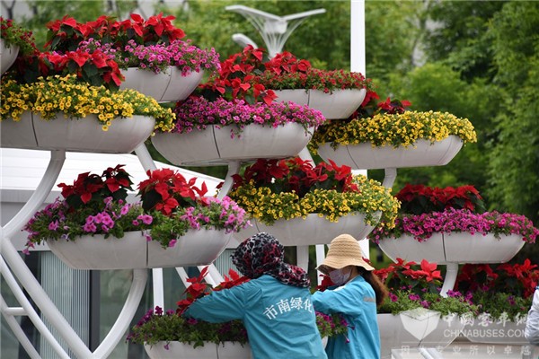 上合来了!世界杯来了!金龙客车也来了!