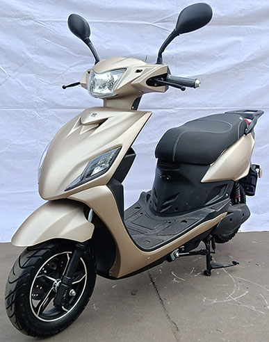 廣雅牌GY1200DT-2S電動(dòng)兩輪摩托車