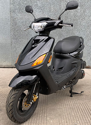 立雅牌LY125T-2D兩輪摩托車