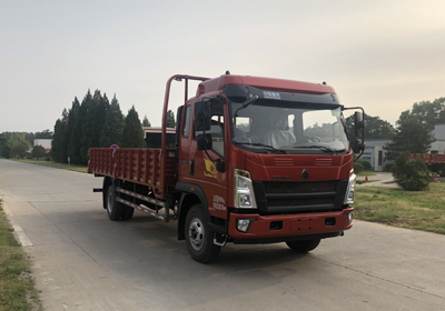 第11批次ZZ1107G451CE1載貨汽車(chē)