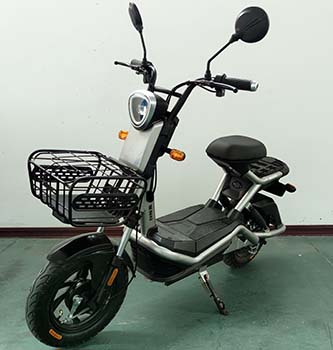 赛利特牌SLT500DQT-2电动两轮轻便摩托车