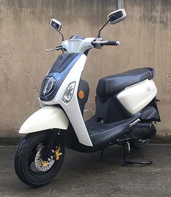 株雅牌ZY125T-8D兩輪摩托車