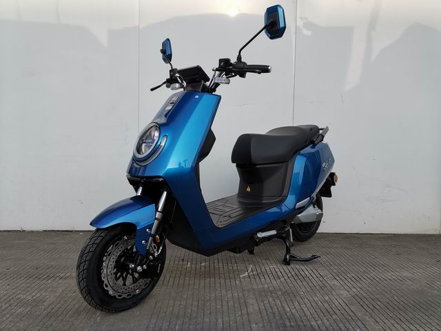 新蕾牌XL1000DT電動兩輪摩托車