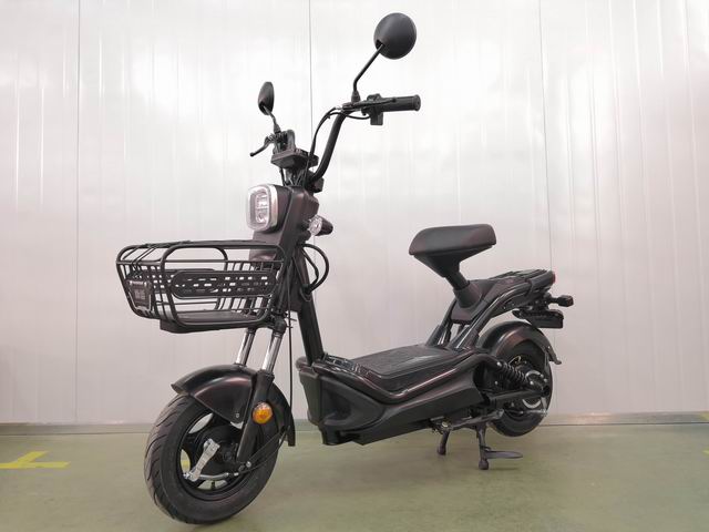 新蕾牌XL500DQT-11電動(dòng)兩輪輕便摩托車