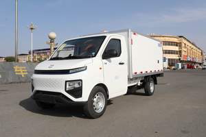 吉利F1E純電動(dòng)冷藏車帶冷機(jī)圖片