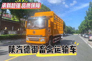 陜汽畜禽運(yùn)輸車展示視頻
