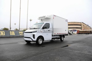 吉利F1E纯电动冷藏车图片