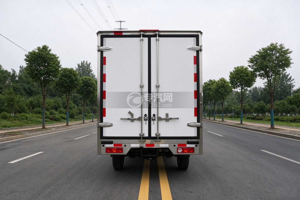 吉利 F1E（金标）纯电动冷藏车（小微卡）正后方图