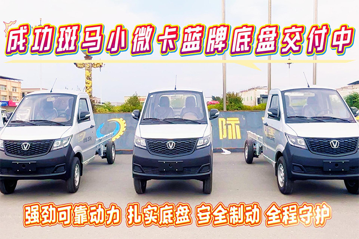 成功斑马小微卡蓝牌冷藏车(汽油)