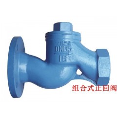 DN65组合止回阀