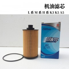 江淮格尔发货车配件重卡格尔发机油滤芯滤芯机滤机油格13055724A