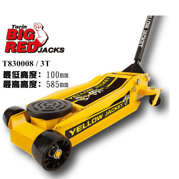 3T黄-0070.jpg